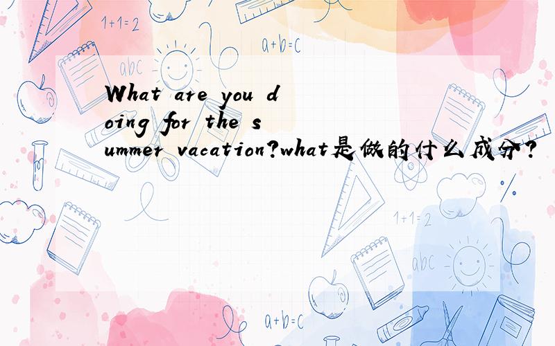What are you doing for the summer vacation?what是做的什么成分?