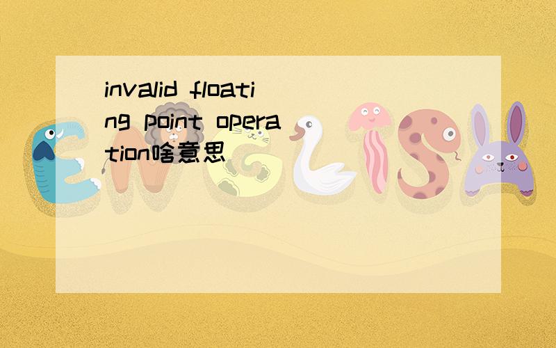 invalid floating point operation啥意思