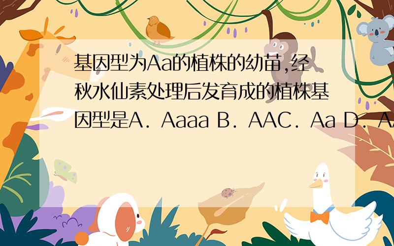 基因型为Aa的植株的幼苗,经秋水仙素处理后发育成的植株基因型是A．Aaaa B．AAC．Aa D．AA或aa为什么