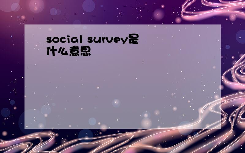 social survey是什么意思