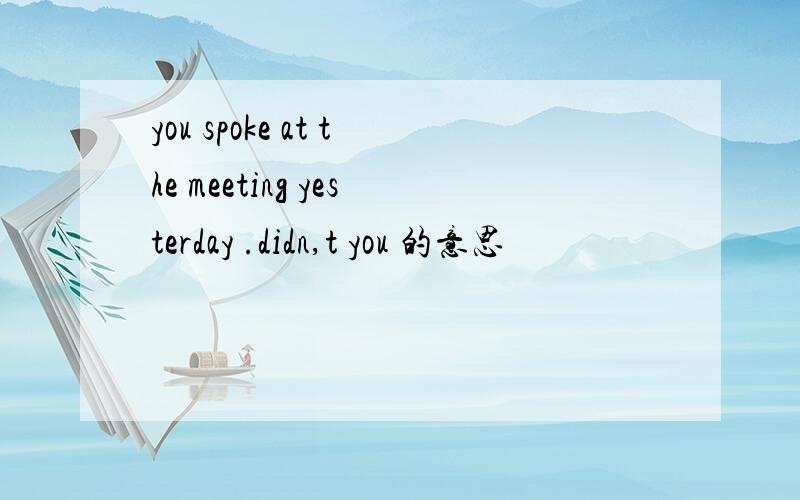 you spoke at the meeting yesterday .didn,t you 的意思
