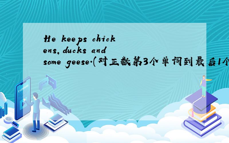 He keeps chickens,ducks and some geese.(对正数第3个单词到最后1个单词进行提问） 、