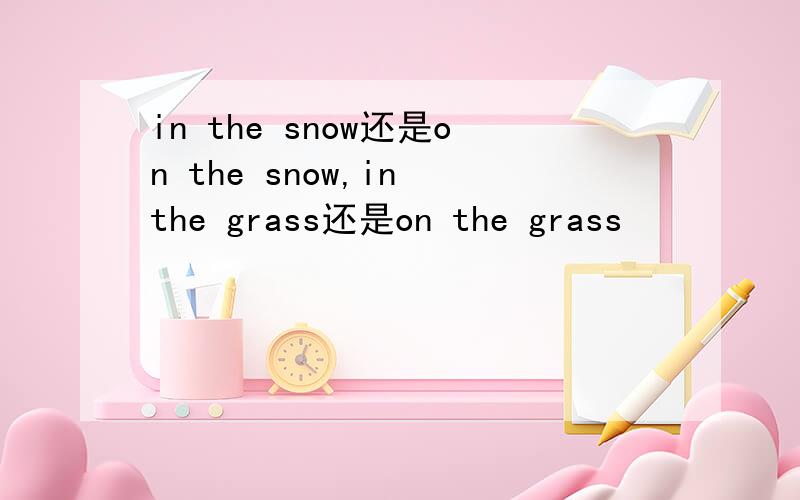 in the snow还是on the snow,in the grass还是on the grass