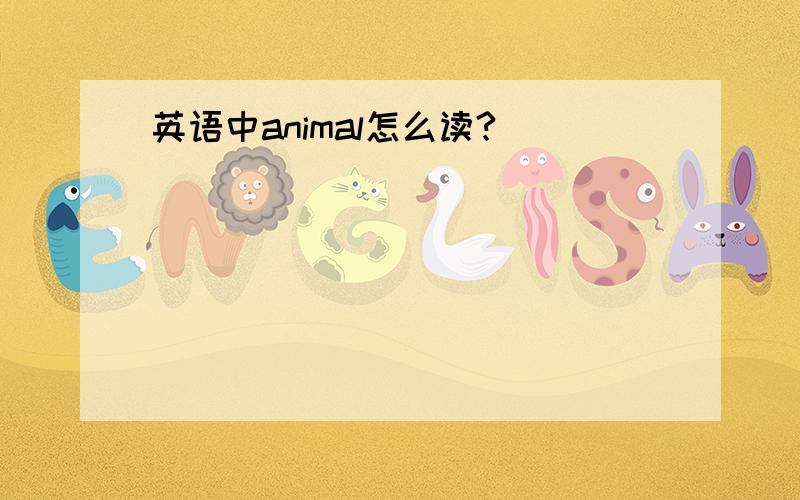 英语中animal怎么读?