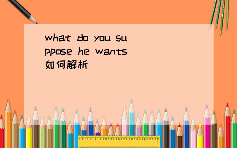 what do you suppose he wants如何解析