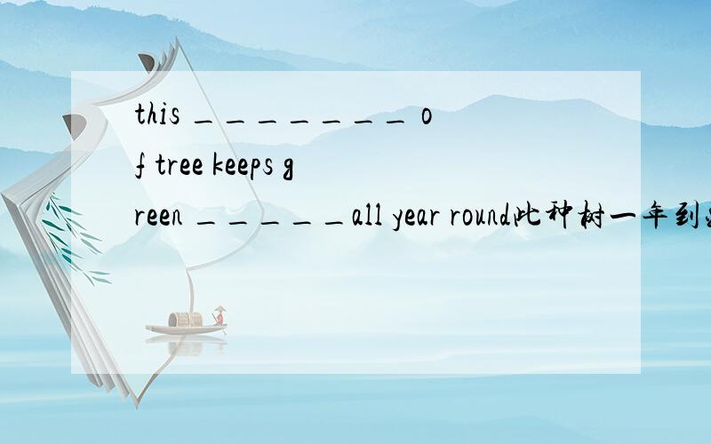 this _______ of tree keeps green _____all year round此种树一年到头保持绿色
