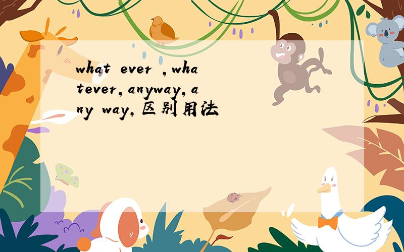 what ever ,whatever,anyway,any way,区别用法