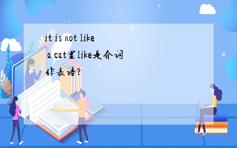 it is not like a cat里like是介词作表语?