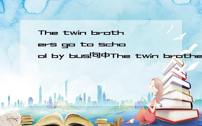 The twin brothers go to school by bus!句中The twin brothers 是第几人称?我觉得是第三人称?