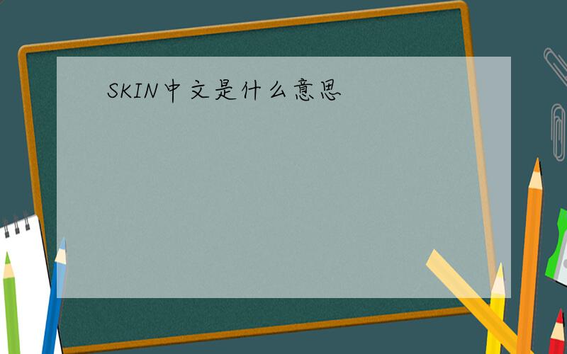SKIN中文是什么意思