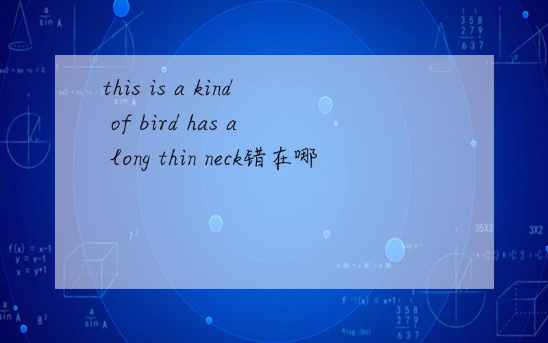 this is a kind of bird has a long thin neck错在哪
