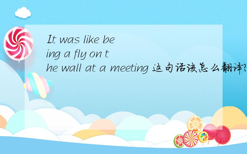It was like being a fly on the wall at a meeting 这句话该怎么翻译?