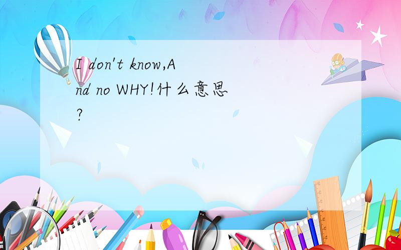 I don't know,And no WHY!什么意思?
