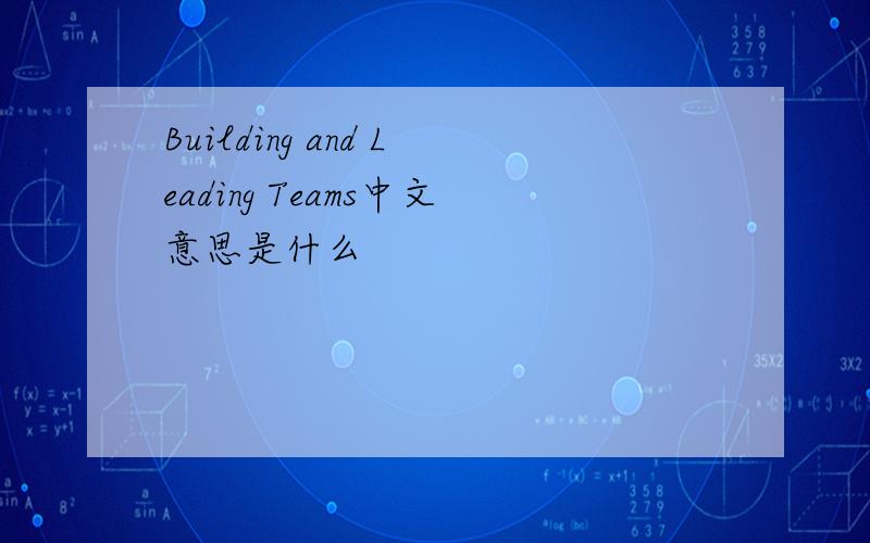 Building and Leading Teams中文意思是什么