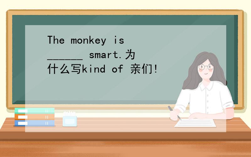 The monkey is ______ smart.为什么写kind of 亲们!