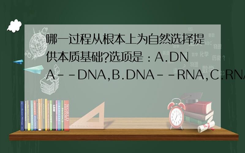 哪一过程从根本上为自然选择提供本质基础?选项是：A.DNA--DNA,B.DNA--RNA,C.RNA--蛋白质，D.tRNA携带氨基酸