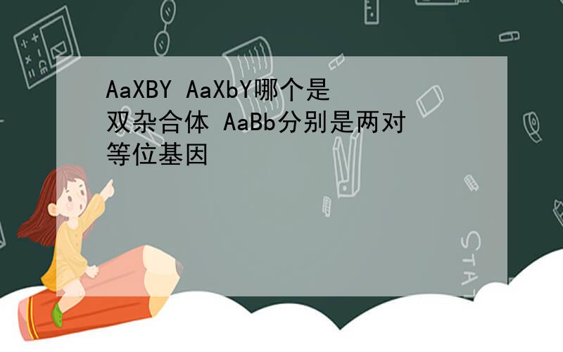 AaXBY AaXbY哪个是双杂合体 AaBb分别是两对等位基因