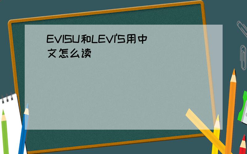 EVISU和LEVI'S用中文怎么读