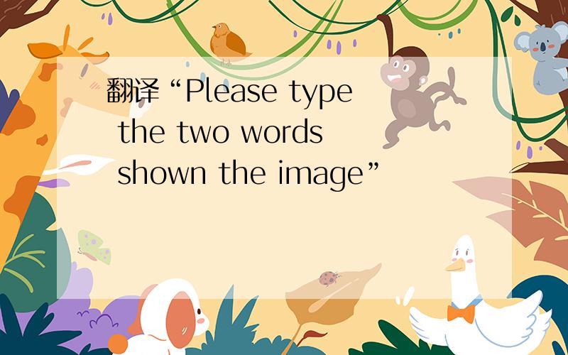 翻译“Please type the two words shown the image”