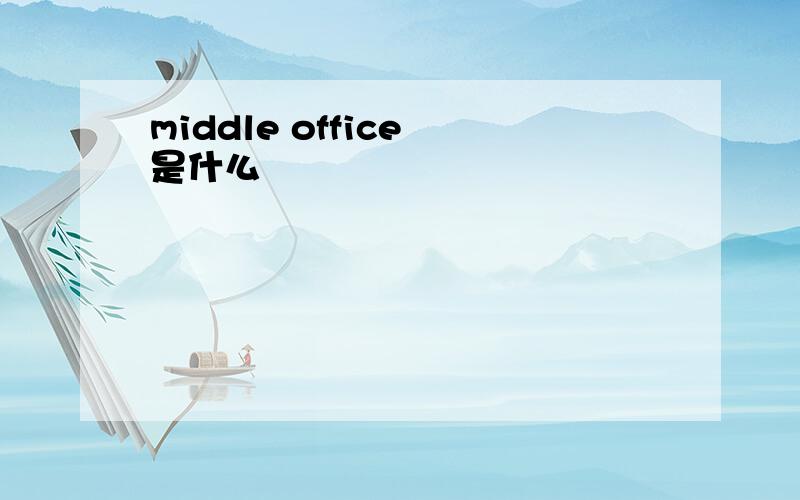 middle office 是什么