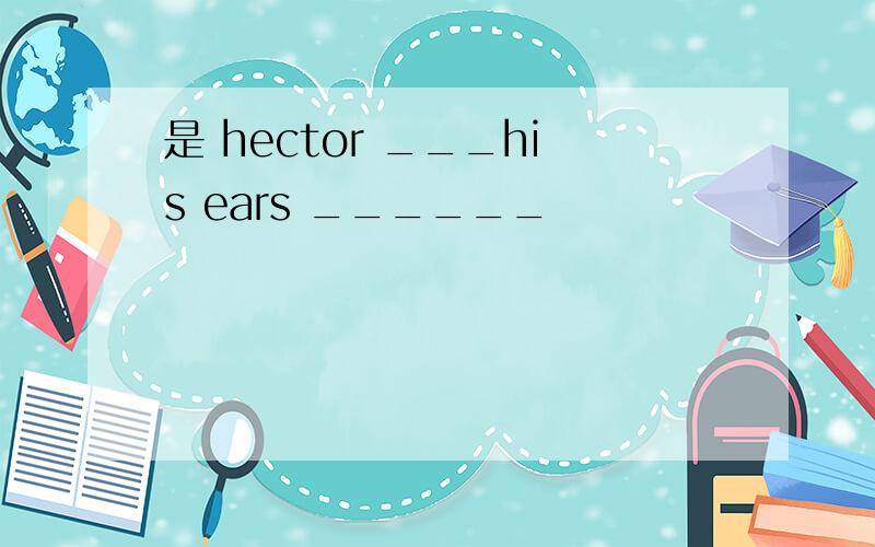 是 hector ___his ears ______