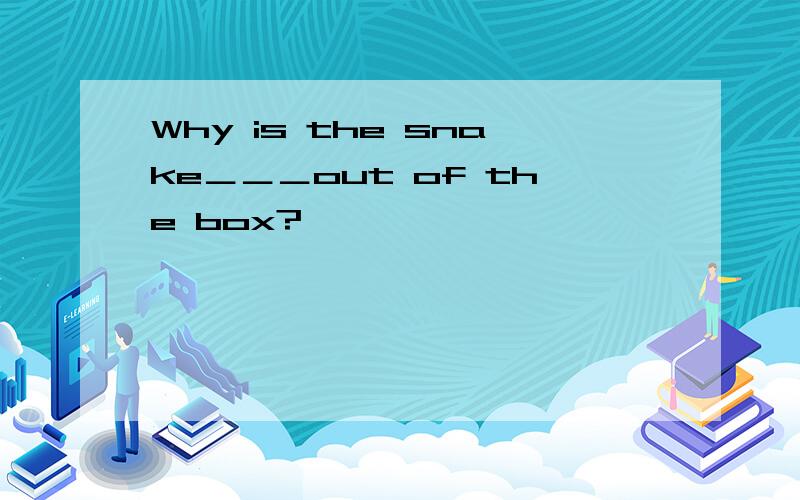 Why is the snake＿＿＿out of the box?