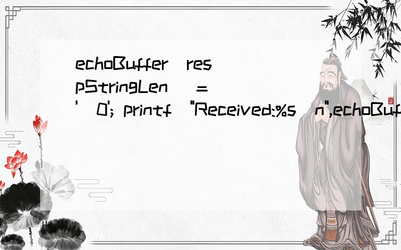 echoBuffer[respStringLen] = '\0'; printf(