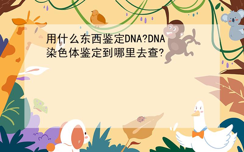用什么东西鉴定DNA?DNA染色体鉴定到哪里去查?