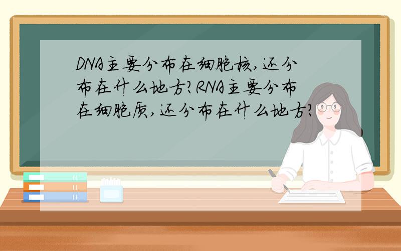 DNA主要分布在细胞核,还分布在什么地方?RNA主要分布在细胞质,还分布在什么地方?