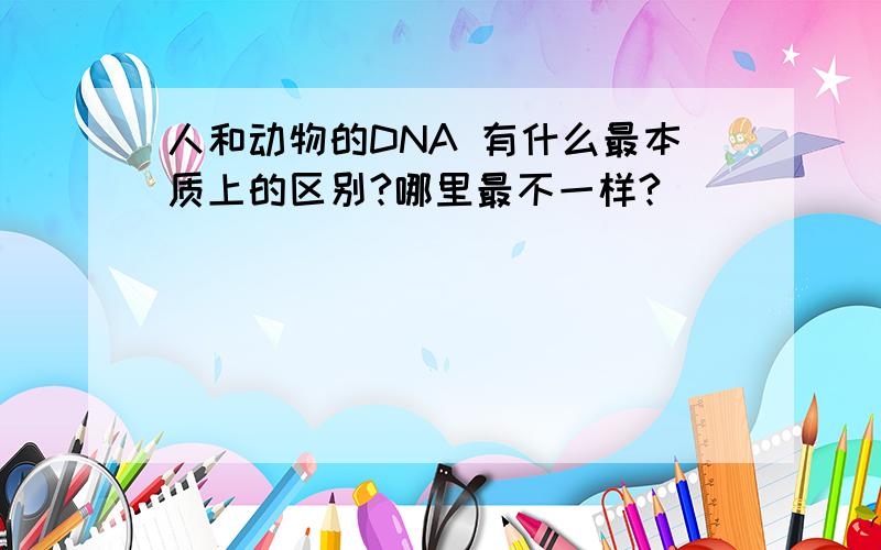 人和动物的DNA 有什么最本质上的区别?哪里最不一样?