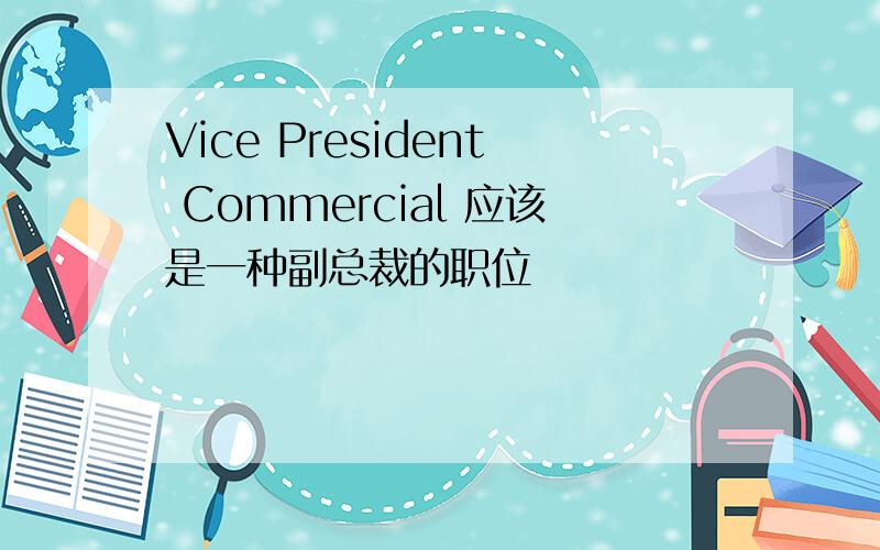 Vice President Commercial 应该是一种副总裁的职位