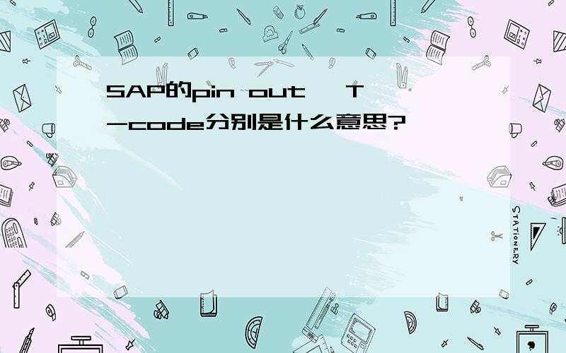 SAP的pin out ,T-code分别是什么意思?