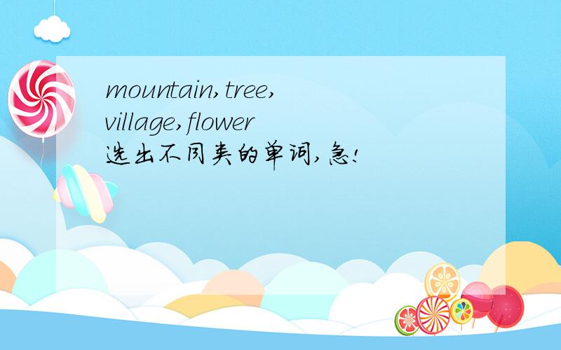 mountain,tree,village,flower选出不同类的单词,急!