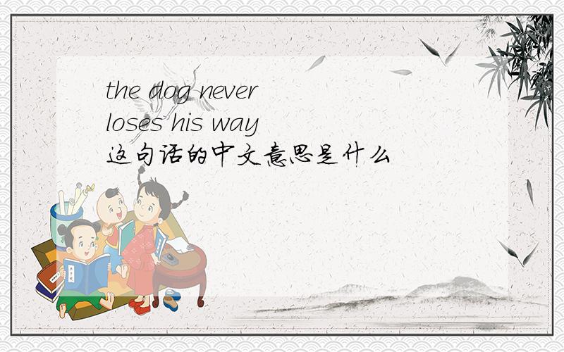 the dog never loses his way 这句话的中文意思是什么
