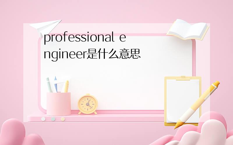 professional engineer是什么意思