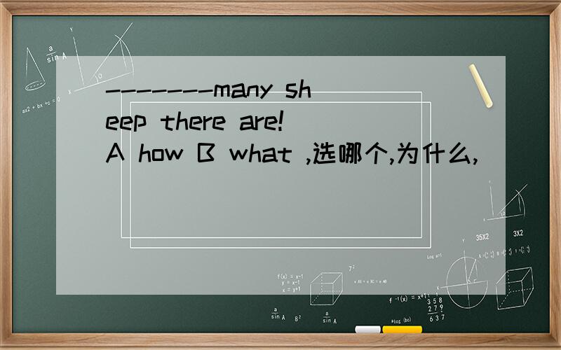 -------many sheep there are!A how B what ,选哪个,为什么,