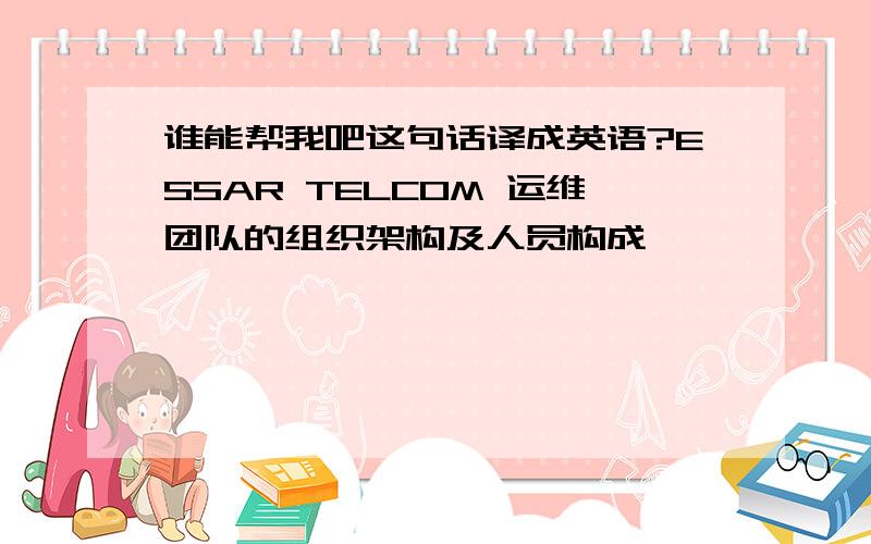 谁能帮我吧这句话译成英语?ESSAR TELCOM 运维团队的组织架构及人员构成