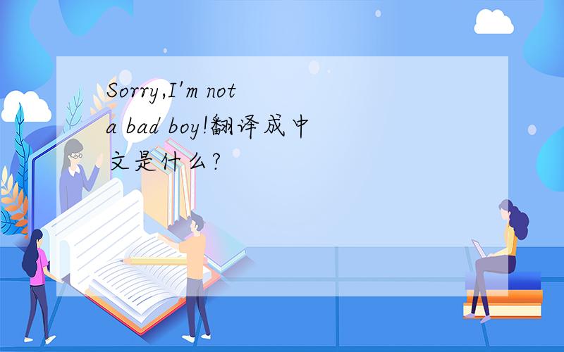 Sorry,I'm not a bad boy!翻译成中文是什么?