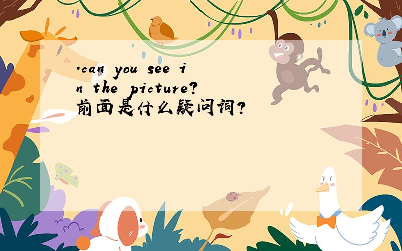 .can you see in the picture?前面是什么疑问词?