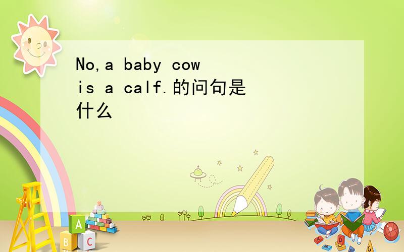 No,a baby cow is a calf.的问句是什么