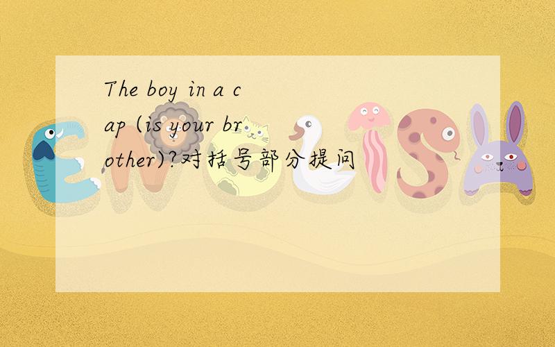 The boy in a cap (is your brother)?对括号部分提问