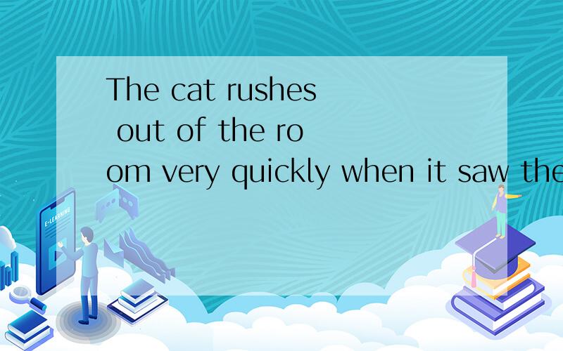 The cat rushes out of the room very quickly when it saw the object.（保持愿意）