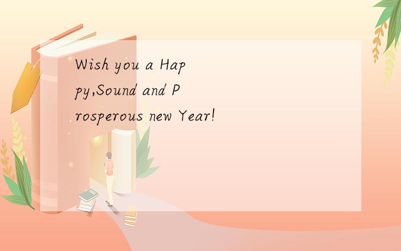 Wish you a Happy,Sound and Prosperous new Year!