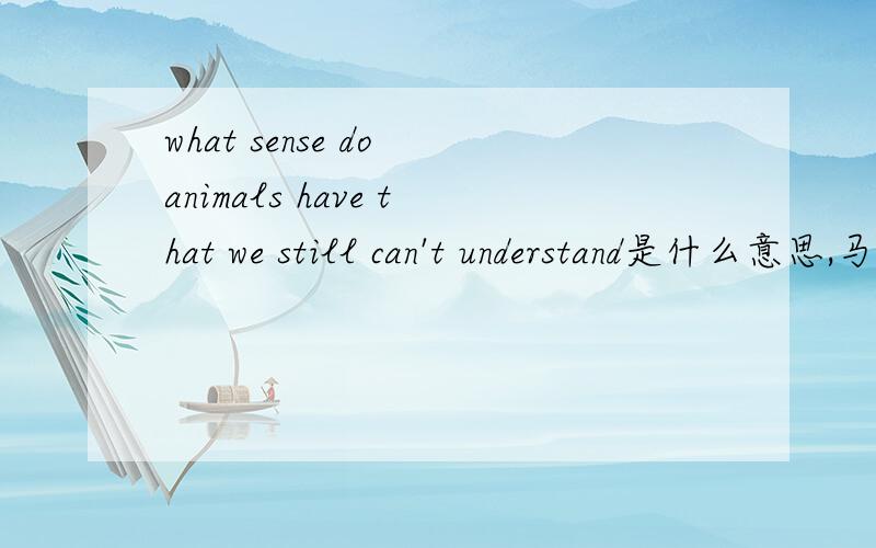 what sense do animals have that we still can't understand是什么意思,马上要,感激不尽