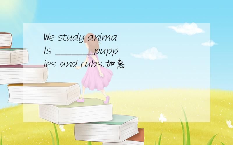 We study animals _______puppies and cubs.加急