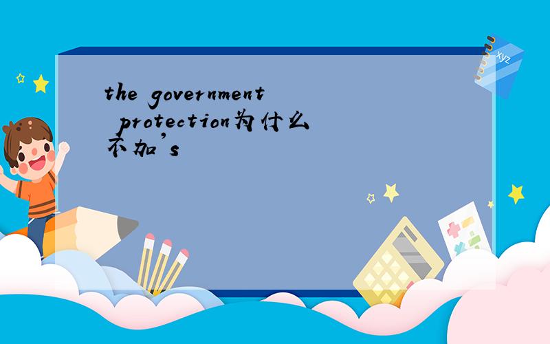 the government protection为什么不加's