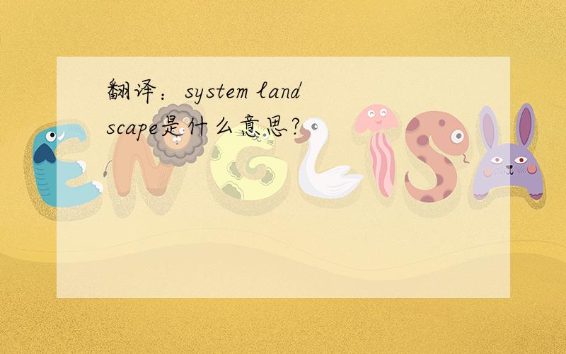 翻译：system landscape是什么意思?