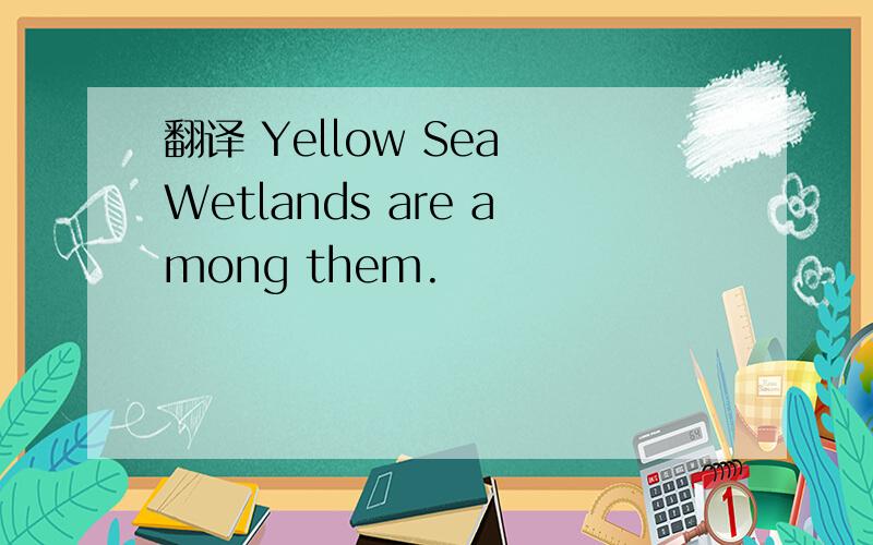 翻译 Yellow Sea Wetlands are among them.