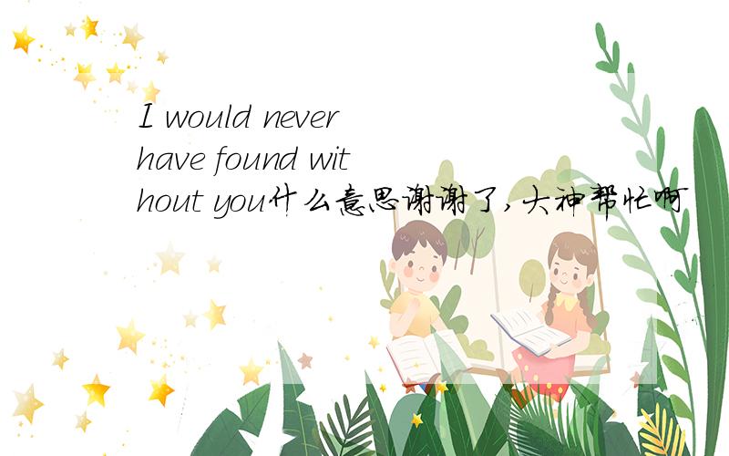 I would never have found without you什么意思谢谢了,大神帮忙啊