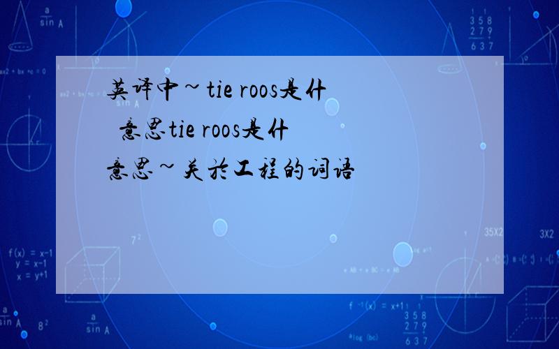 英译中~tie roos是什麼意思tie roos是什麼意思~关於工程的词语